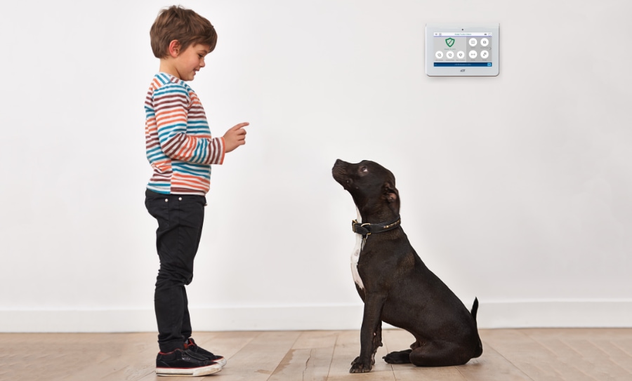 Fernandina Beach security systems